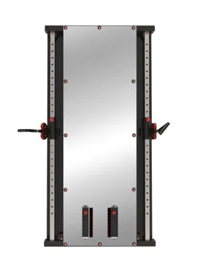1441 Fitness Wall Mounted Cable Machine - 41FGT980