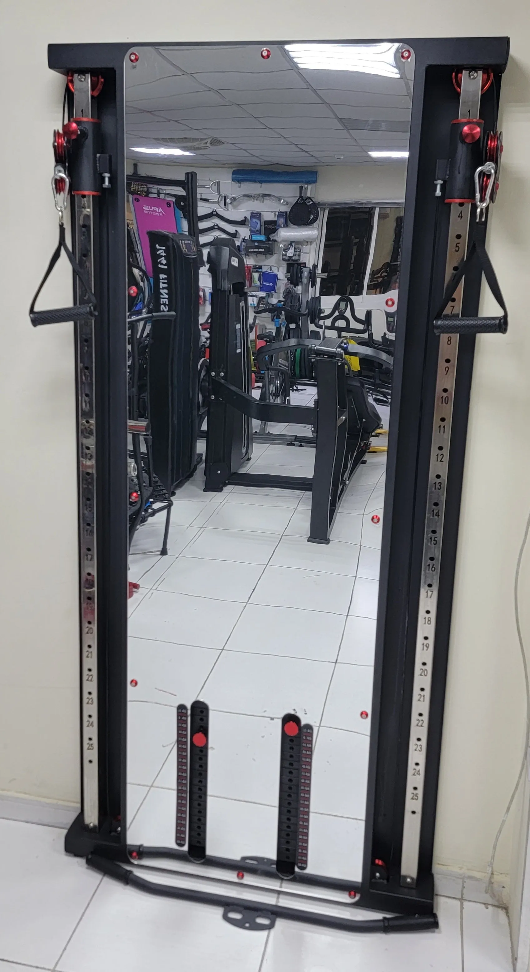1441 Fitness Wall Mounted Cable Machine - 41FGT980