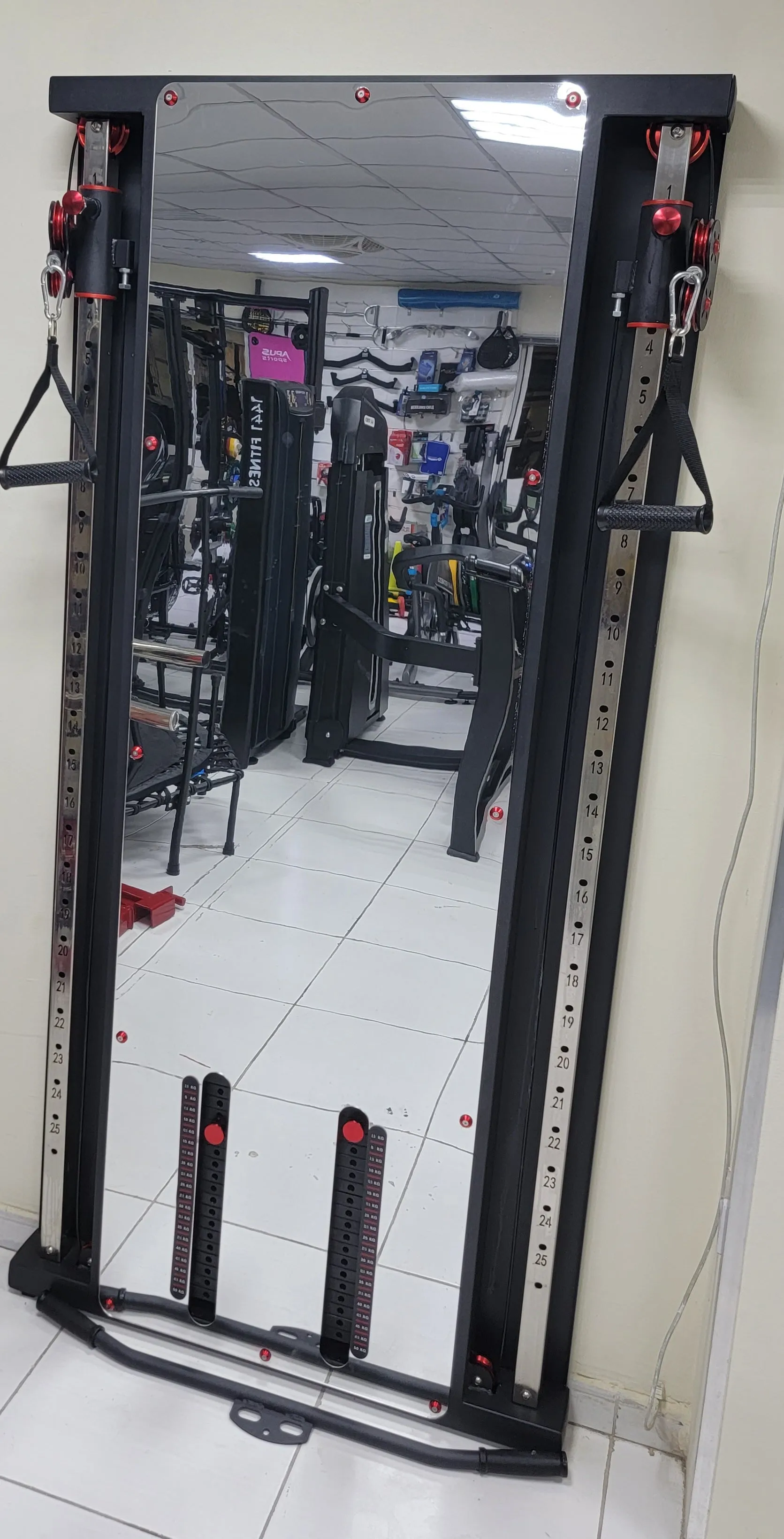 1441 Fitness Wall Mounted Cable Machine - 41FGT980