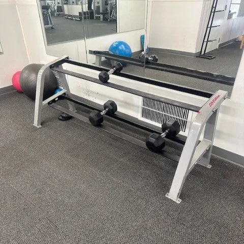 Certified Used Life Fitness Two Tier Dumbbell Rack