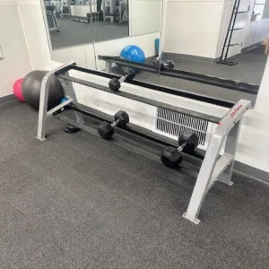 Certified Used Life Fitness Two Tier Dumbbell Rack