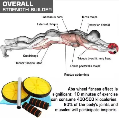 Combo For Core Fitness Ab Wheel & Double Toning Tube Fitness Equipment