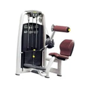 Life Fitness Abdominal/Back Extension - Fit Series