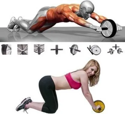 Nas Abdominal Double Wheel Ab Roller Gym For Exercise Fitness Equipment Workout Ab Exerciser  (Multicolor)