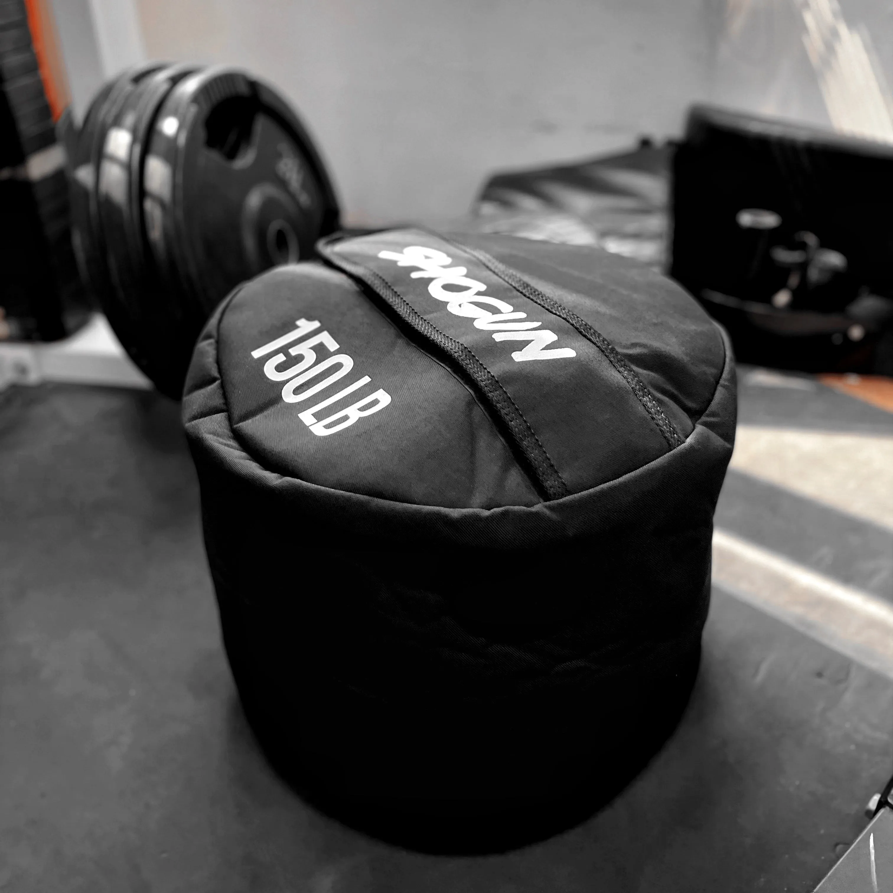 Shogun Heavy Sandbag