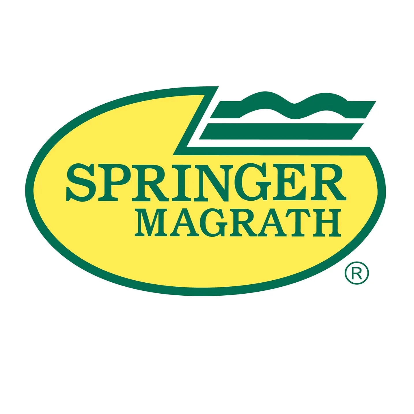 Springer Magrath Stock Shock Power Pack & Battery Stick (sold separately)