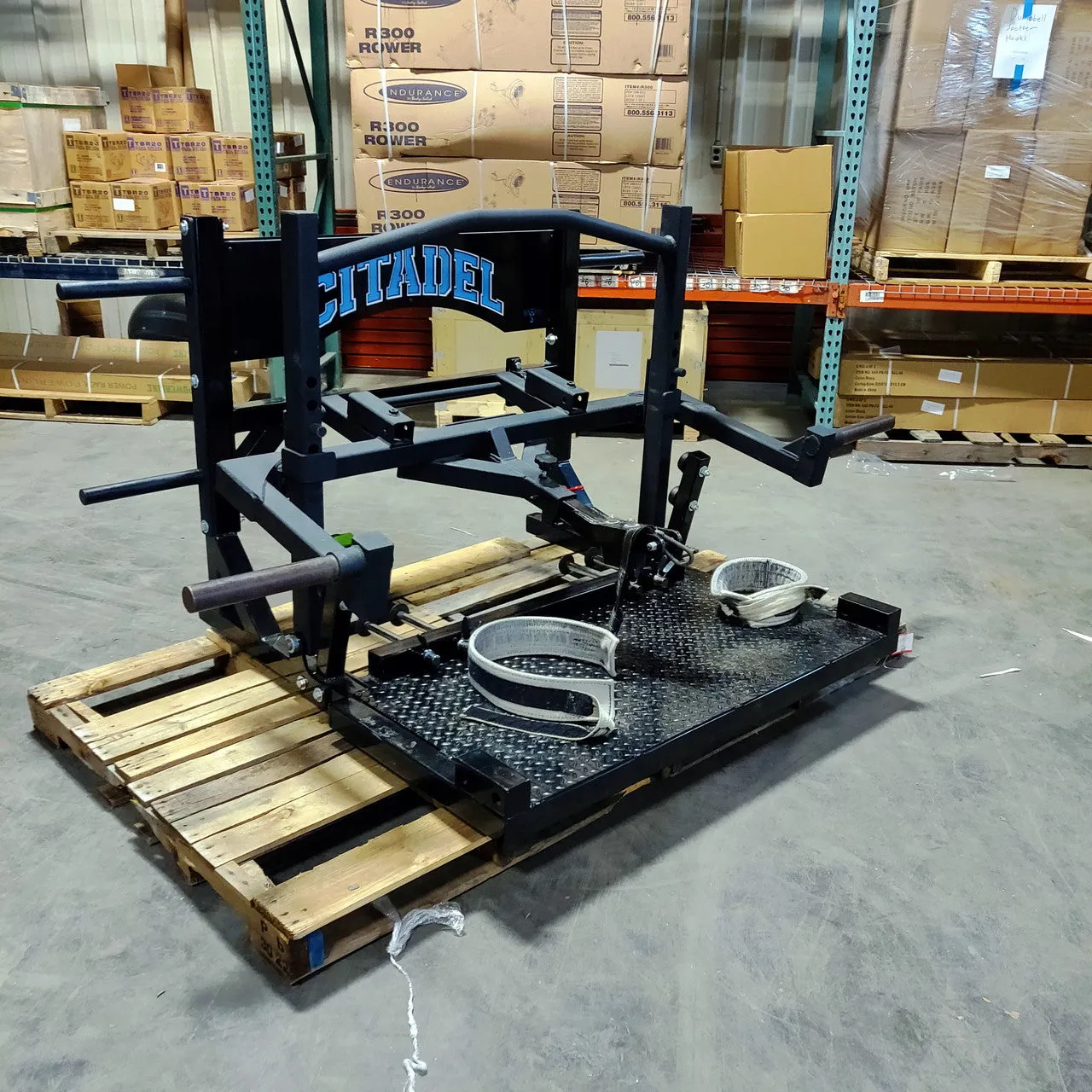 Williams Strength Belt Squat